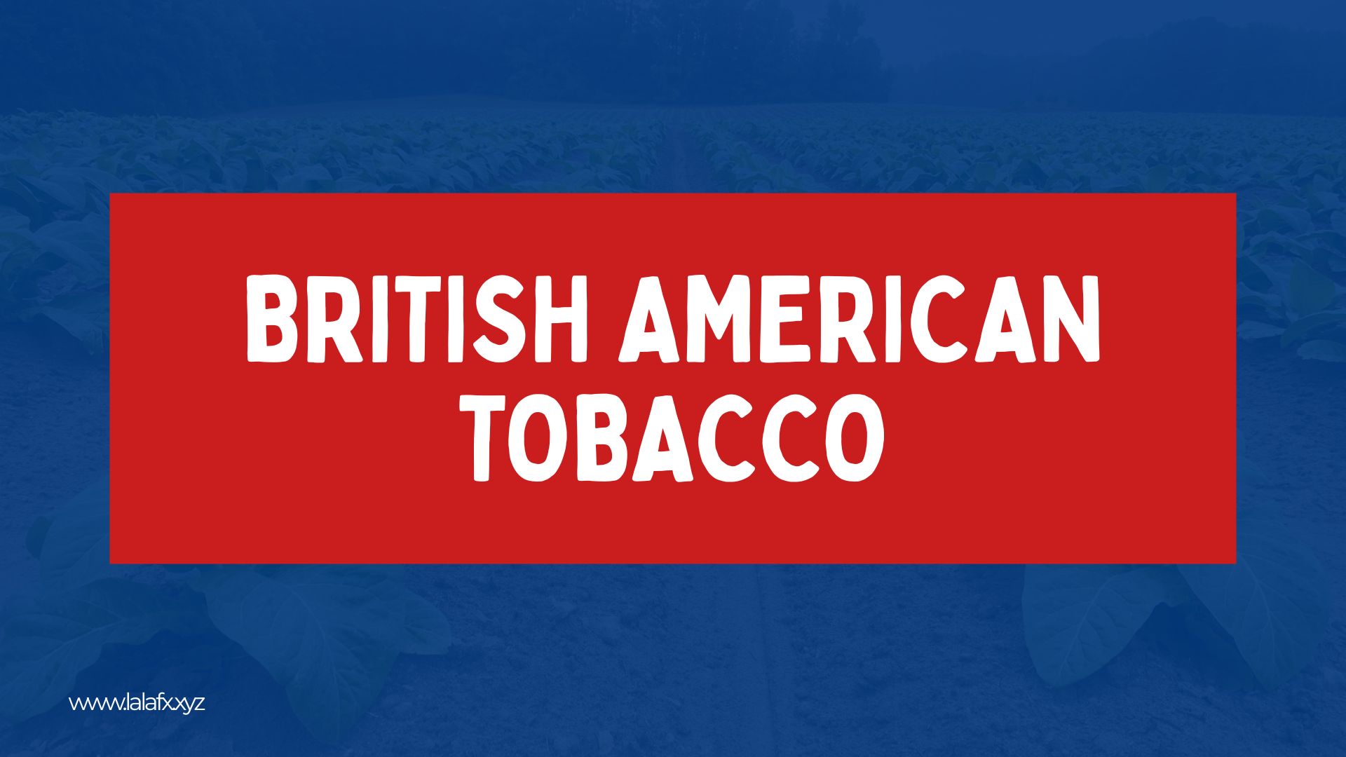 British American Tobacco: